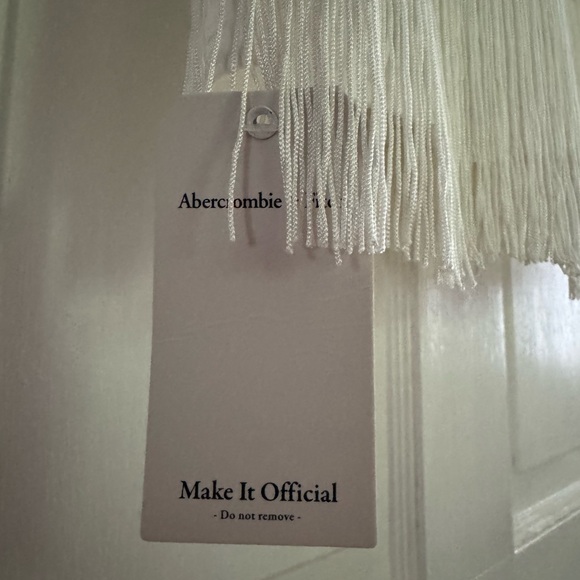 NWT Abercrombie & Fitch fringe mini dress - Picture 4 of 5